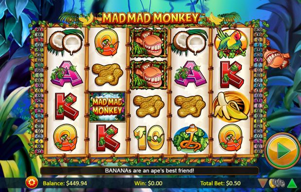 Mad Mad Monkey carousel image 1
