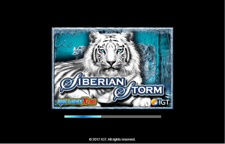 Siberian Storm carousel image 0