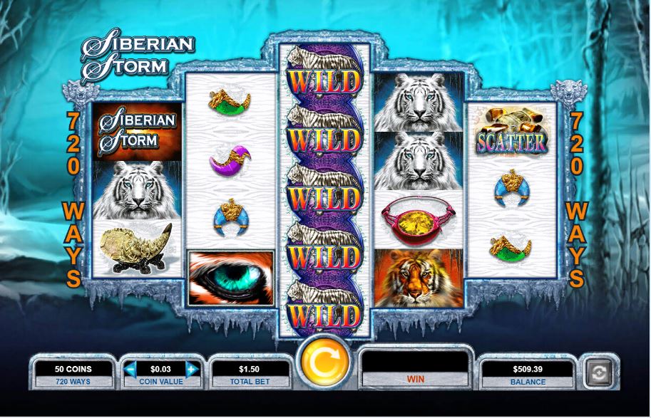 Siberian Storm carousel image 2